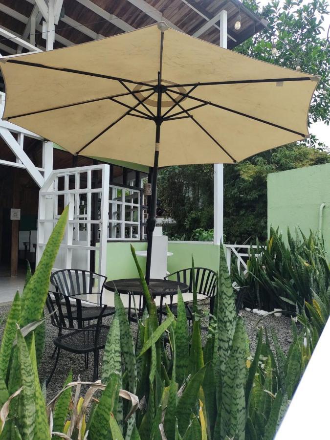 Lizard King Hotel & Suites Puerto Viejo de Talamanca Экстерьер фото