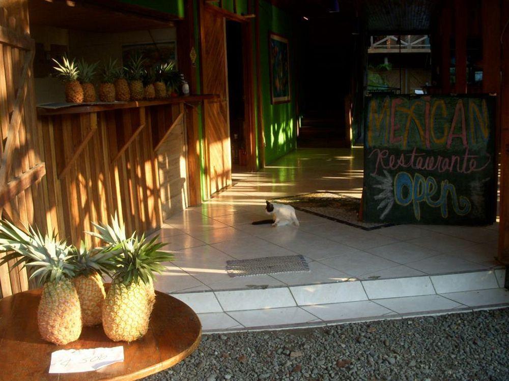 Lizard King Hotel & Suites Puerto Viejo de Talamanca Экстерьер фото